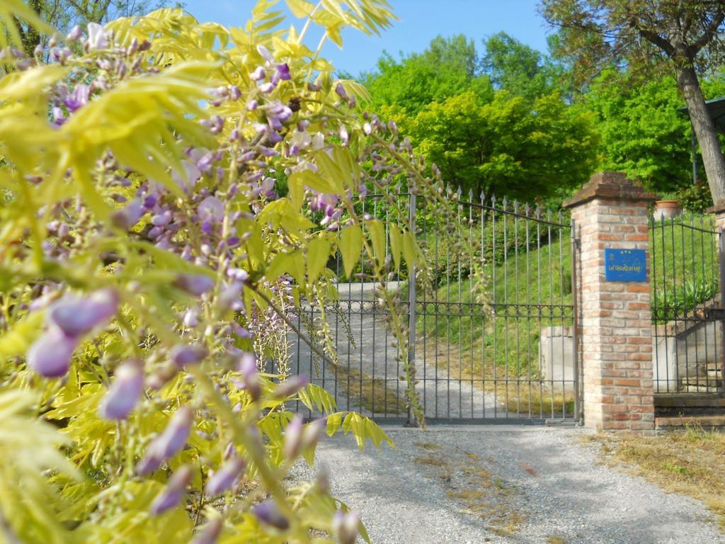 Gasthaus Tenuta Calabiana Diano dʼAlba Zimmer foto