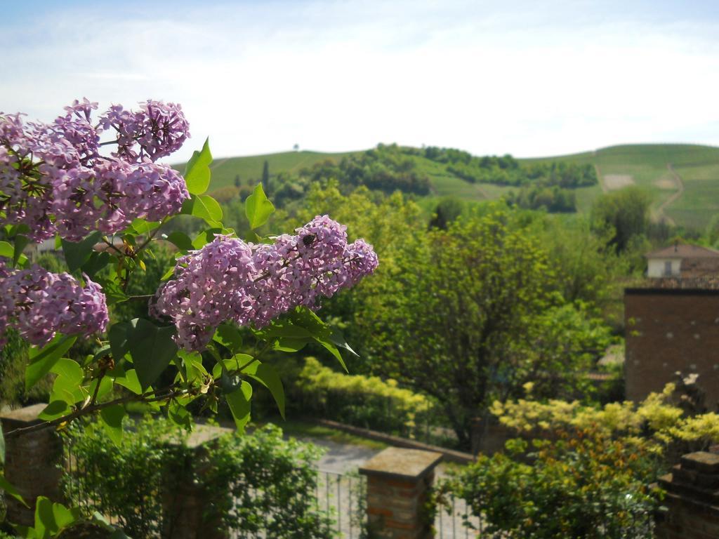 Gasthaus Tenuta Calabiana Diano dʼAlba Zimmer foto