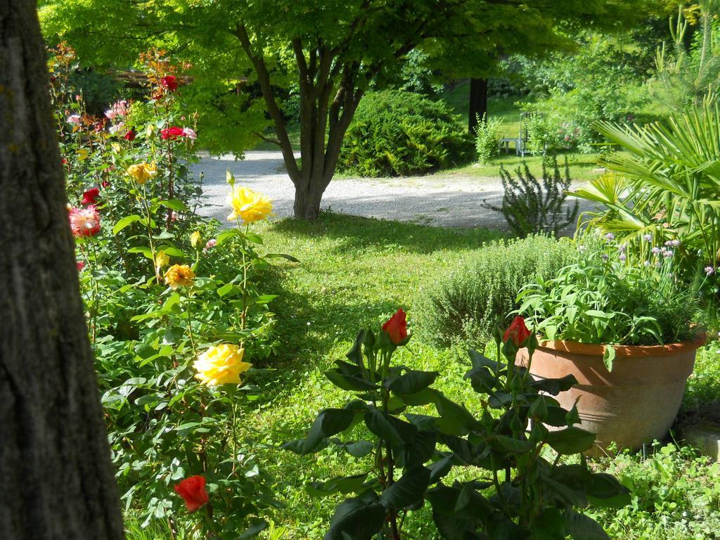 Gasthaus Tenuta Calabiana Diano dʼAlba Zimmer foto