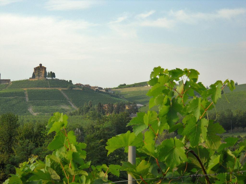 Gasthaus Tenuta Calabiana Diano dʼAlba Zimmer foto