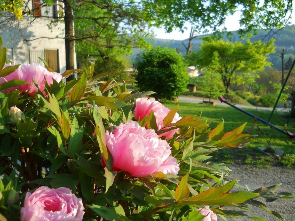 Gasthaus Tenuta Calabiana Diano dʼAlba Zimmer foto